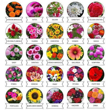 Varieties of Flower Seeds (Pack of 100) And Free Plant Growth Supplement