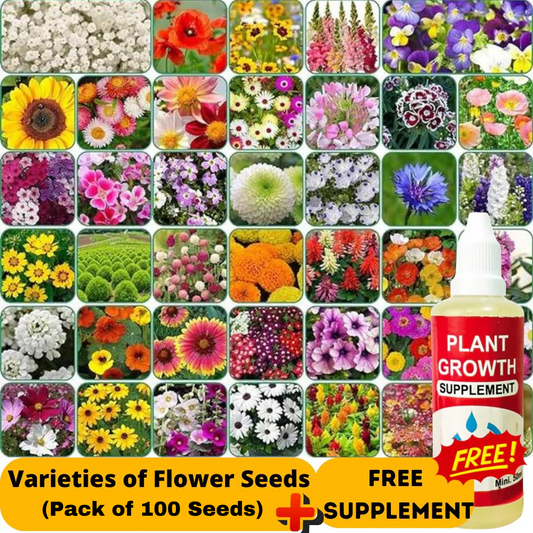 Varieties of Flower Seeds (Pack of 100) And Free Plant Growth Supplement