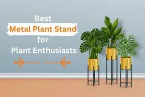 Best Metal Plant Stand for Plant Enthusiasts