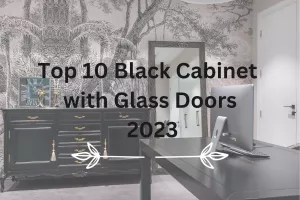 Top 10 Black Cabinet with Glass Doors