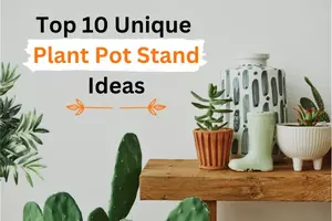 Top 10 Unique Plant Pot Stand Ideas