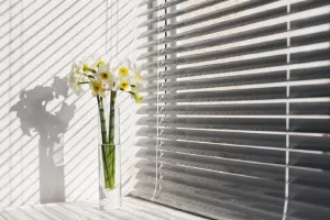How to Choose Perfect Rolling Curtains for Windows?